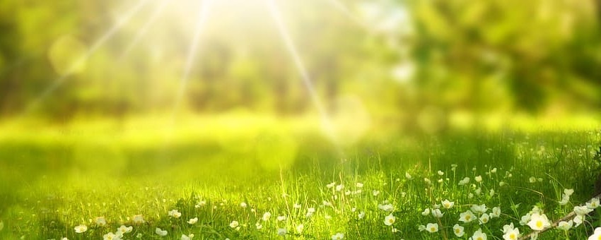 Modelo de psicoterapia breve estratégica
